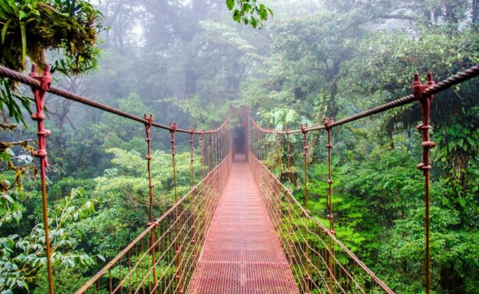 bridge Costa Rica, Sightseeing and Diving