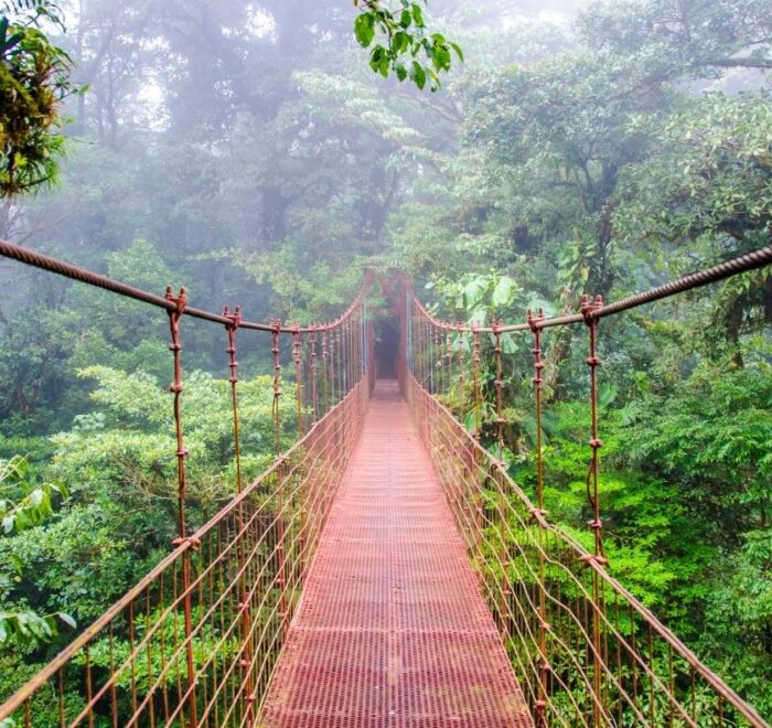 bridge Costa Rica, Sightseeing and Diving