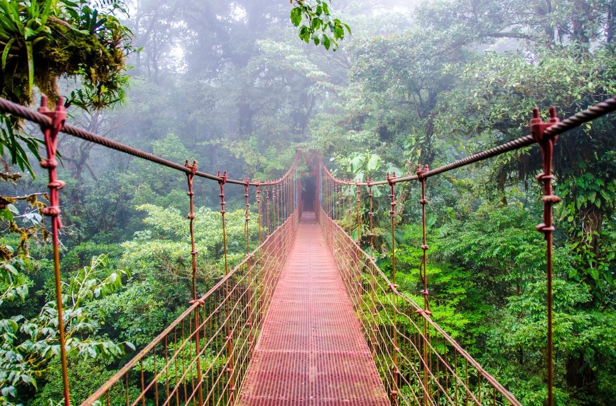 bridge Costa Rica, Sightseeing and Diving