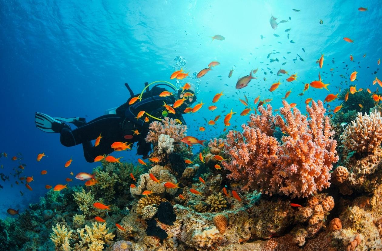 scuba diving in cuba best spots