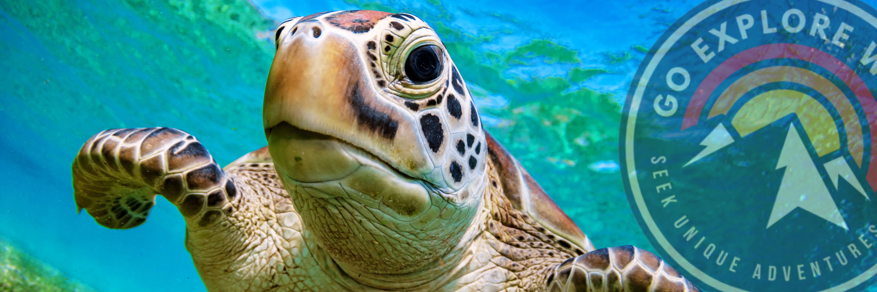 scuba-diving-isla-del-cano-from-uvita