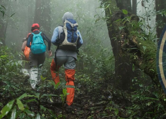 Caño Island Jungle Walking Tour