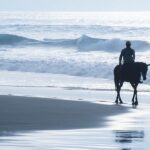 Experience Horse Riding Tour in Uvita