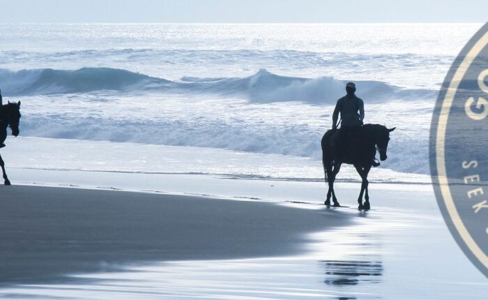 Experience Horse Riding Tour in Uvita