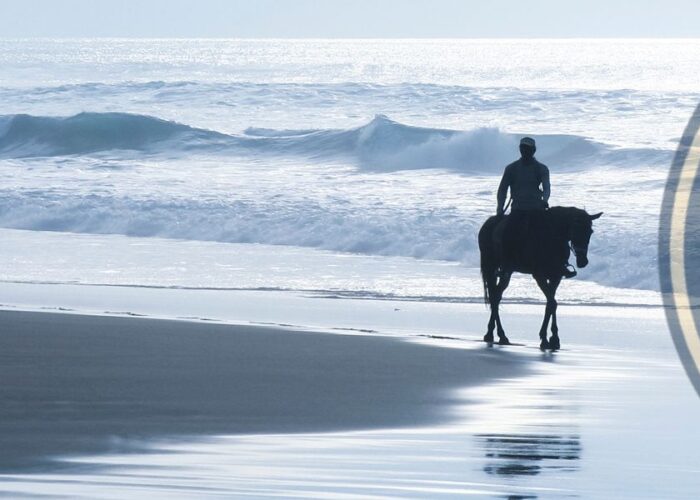 Experience Horse Riding Tour in Uvita