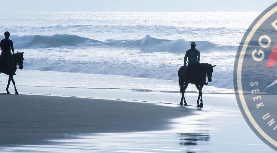 Experience Horse Riding Tour in Uvita