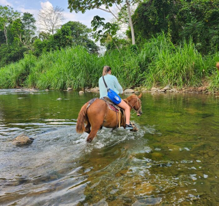 Horse Riding Tour in Uvita