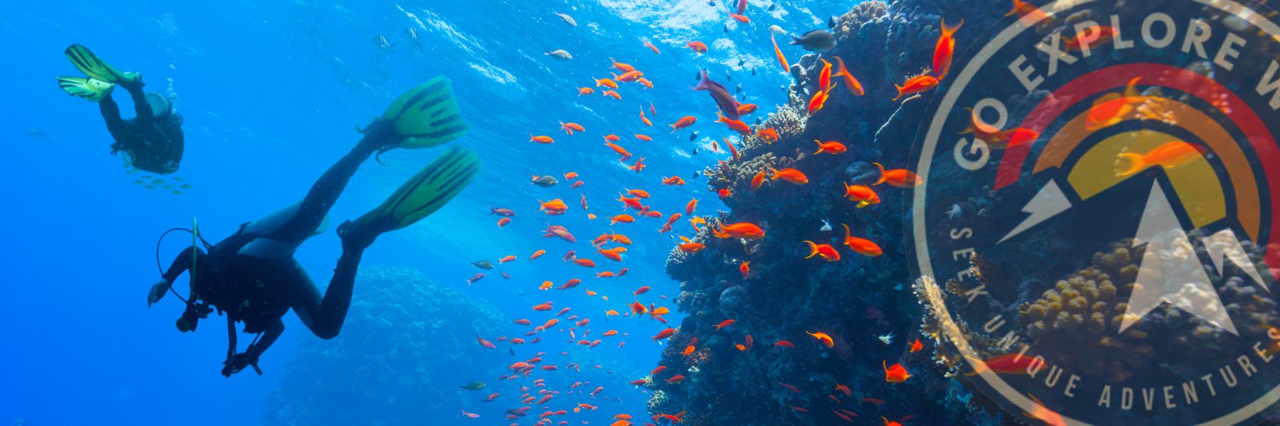 Scuba Diving for Beginners at Isla del Caño