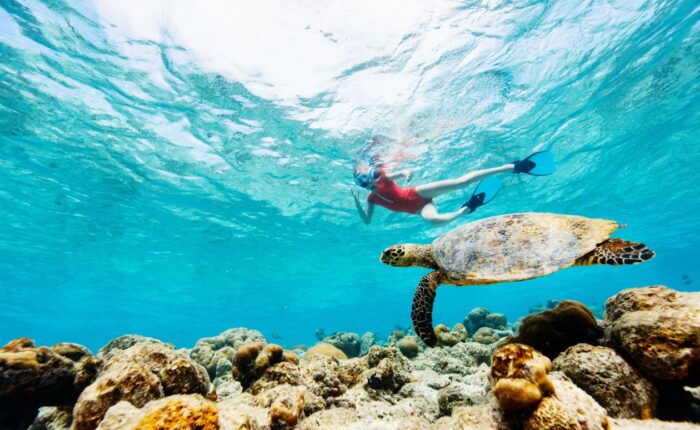 Snorkeling Tours in Uvita Discover Vibrant Marine Life