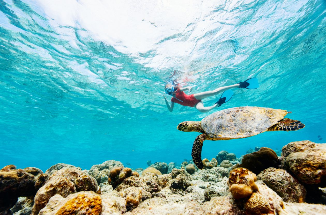 Snorkeling Tours in Uvita Discover Vibrant Marine Life