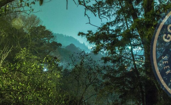 Wildlife Night Tour in Uvita