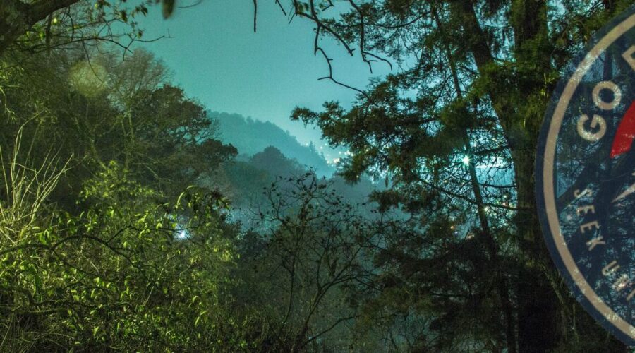 Wildlife Night Tour in Uvita
