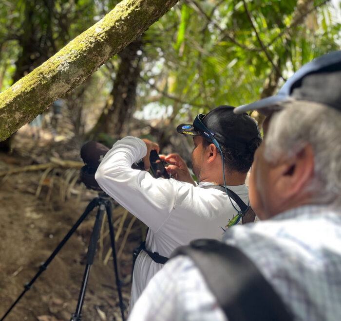 Corcovado National Park Tour