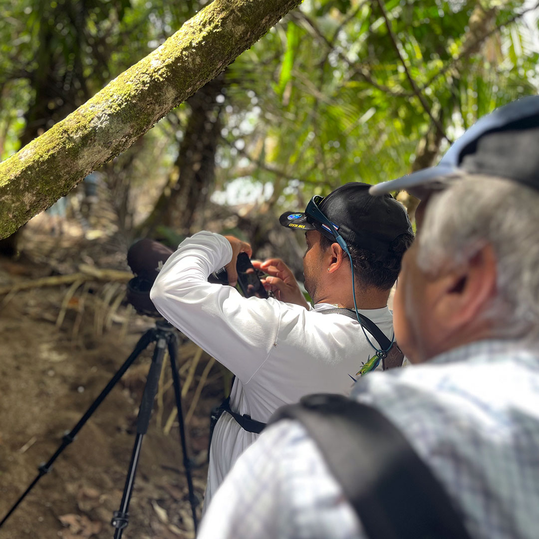 Corcovado National Park Tour