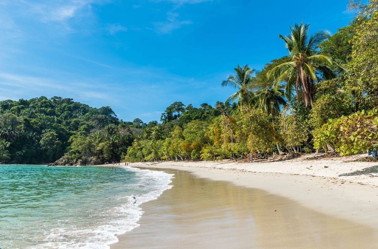 Manuel Antonio Tour Why It’s Better With a Guide