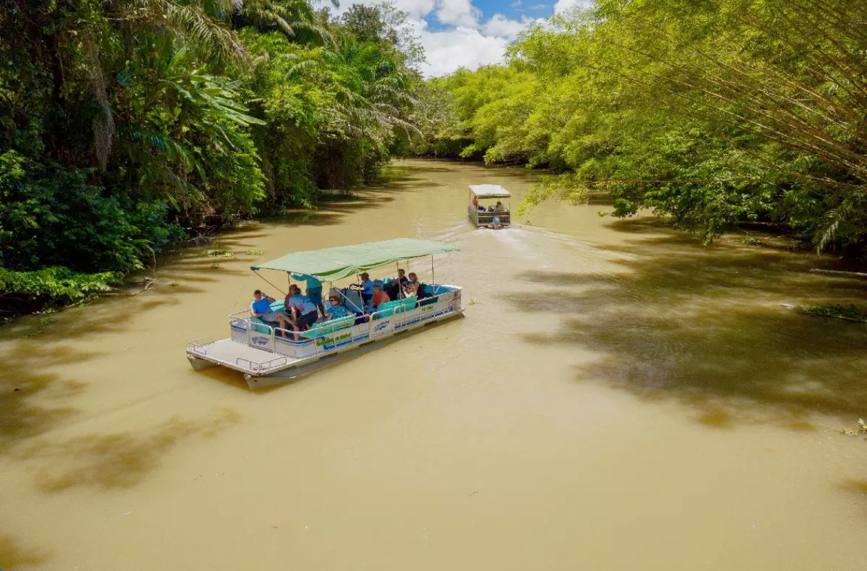 Sierpe Mangrove Tour Costa Rica’s Wildest Corners