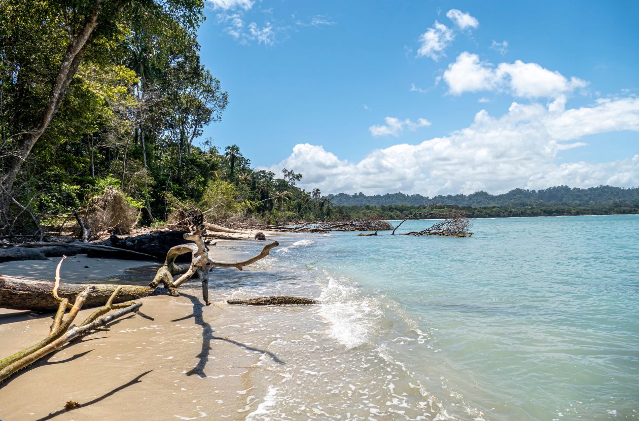 Cahuita National Park in Costa Rica