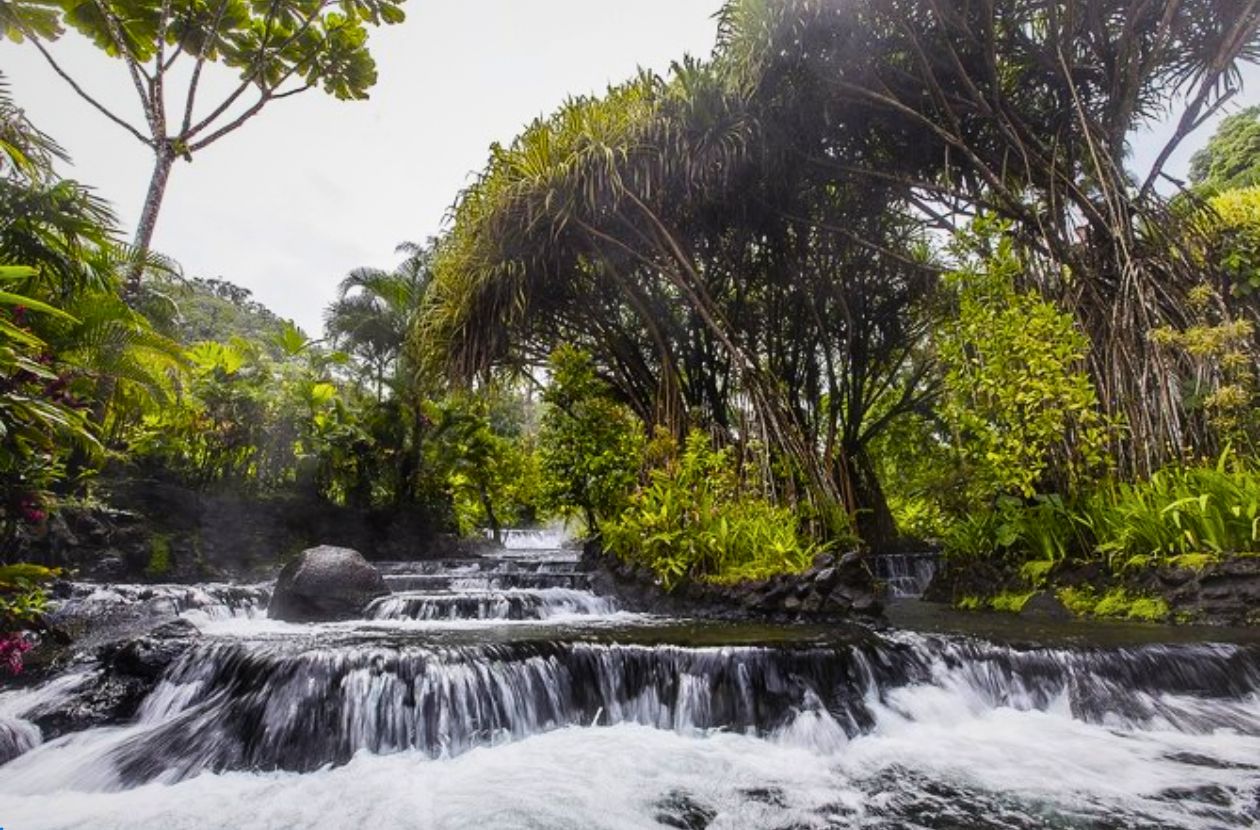 Hot Springs in Costa Rica Tabacón