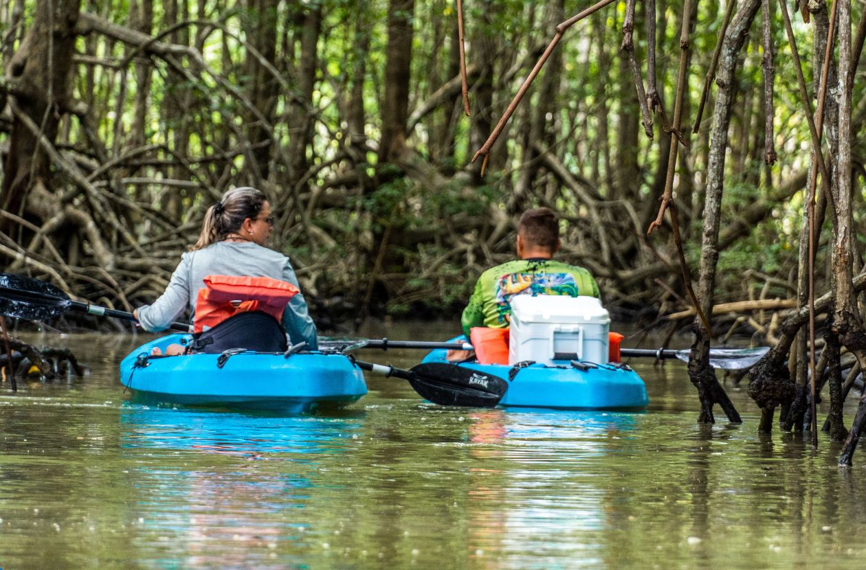 Kayaking the Térraba River Mangroves Wild Adventure