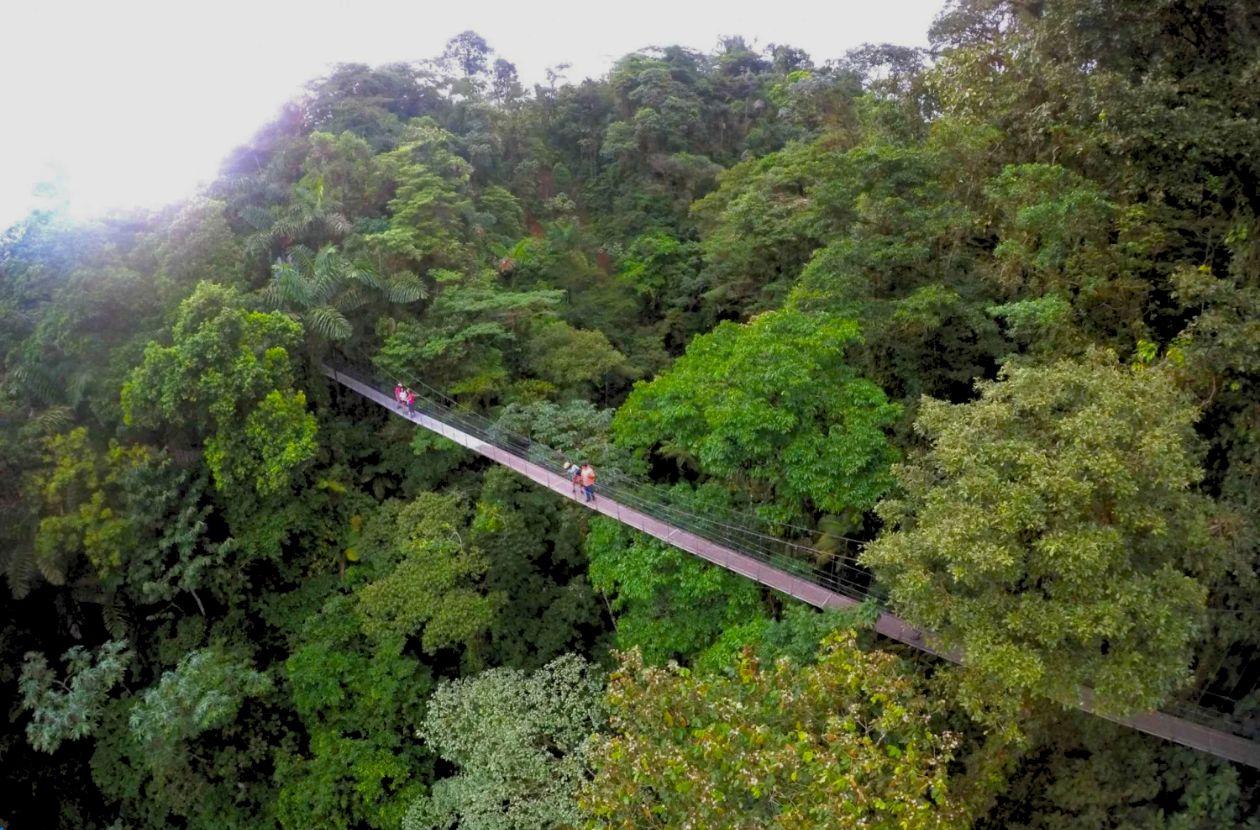 Mistico Arenal Hanging Bridges Park in Costa Rica