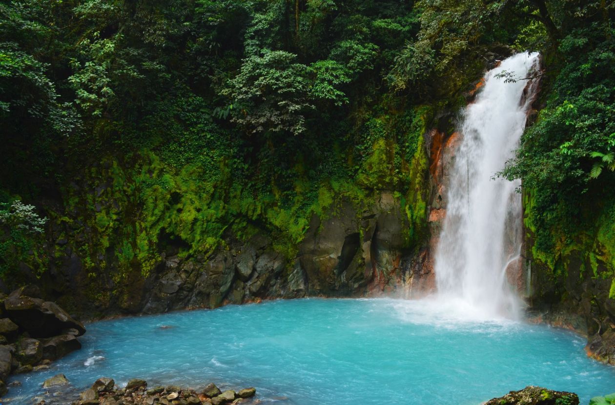Rio Celeste Tours How to Visit Costa Rica's Magical Blue River